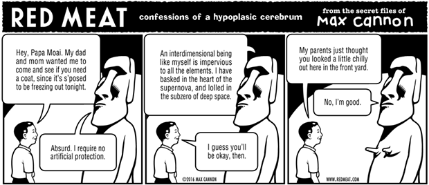confessions of a hypoplasic cerebrum