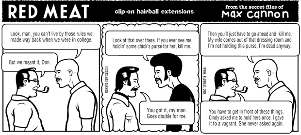 clip-on hairball extensions